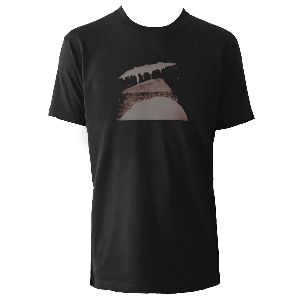 Mens T-shirt - Collage Landscape